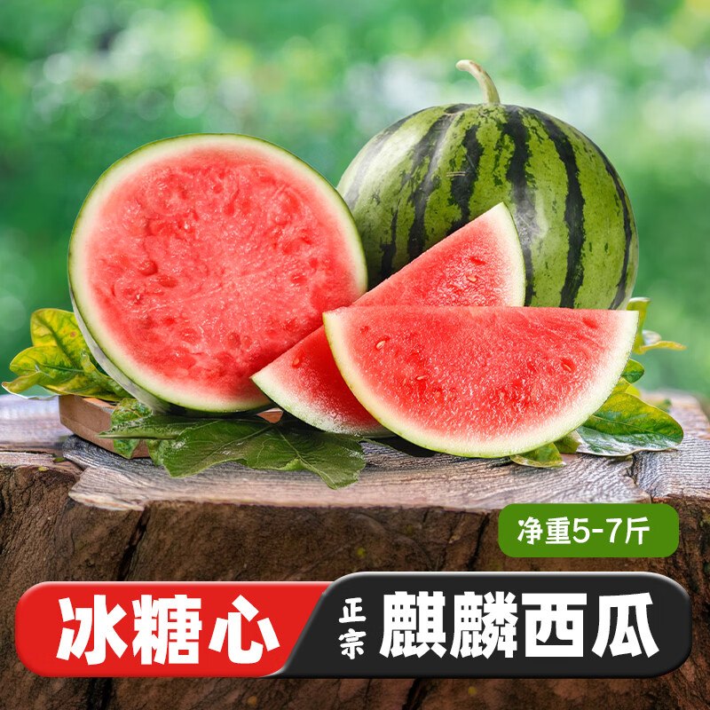 自营京觅 沙地麒麟少籽甜西瓜拍下19.9元得【单粒/净5-7斤】