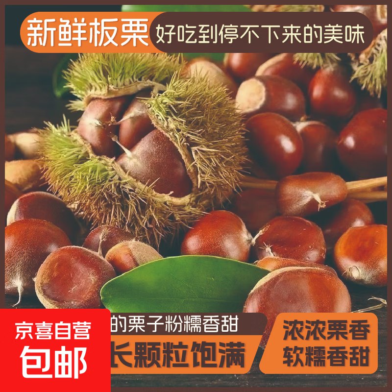 🐶东领京红