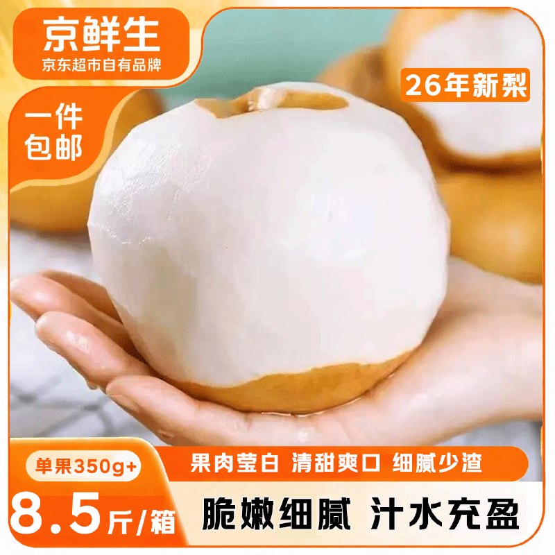 自营京鲜生 山东莱阳秋月梨拍下39.89元得【净重8.5斤】