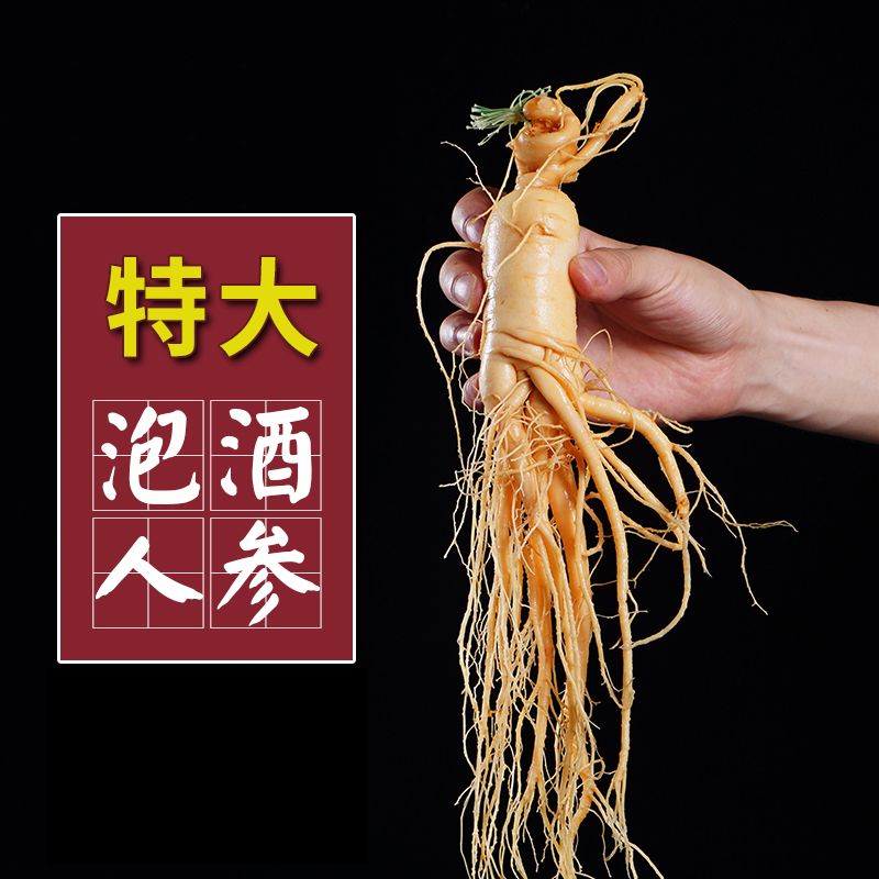 plus 200-25卷