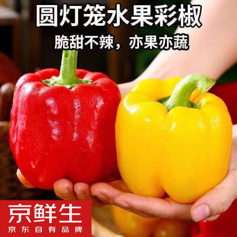 自营京鲜生 山东双色水果五彩椒净重3斤 单果130g+
